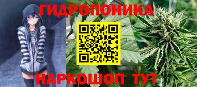 бошки Ачхой-Мартан