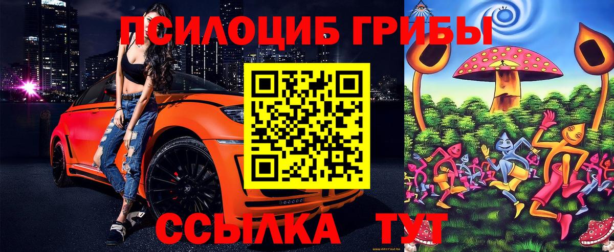 Псилоцибиновые грибы ЛСД Зеленокумск